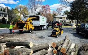 Best Hazardous Tree Removal  in Coalfield, TN